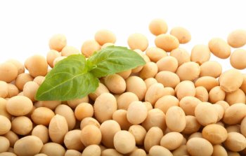 Latte di soia aromatizzato