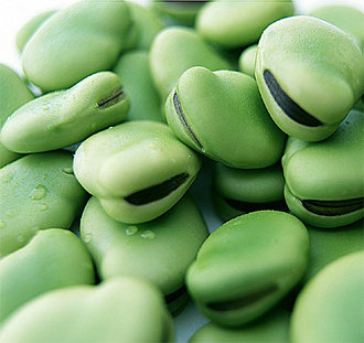 Pesto di fave 